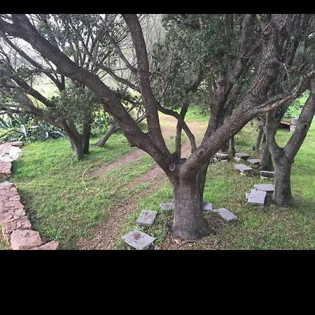 La Maison De Missia 别墅 *